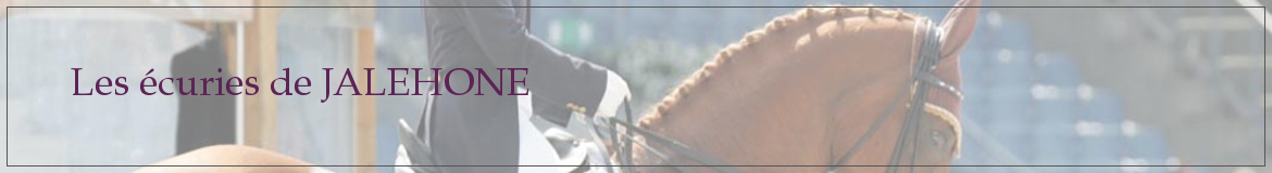 Les écuries de JALEHONE